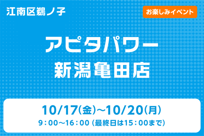 アピタパワー新潟亀田店
