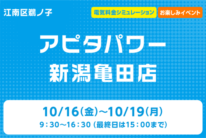 アピタパワー新潟亀田店