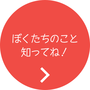 プロフィール