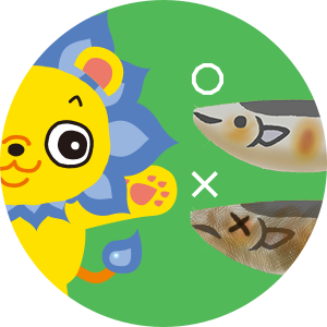 ゲーム